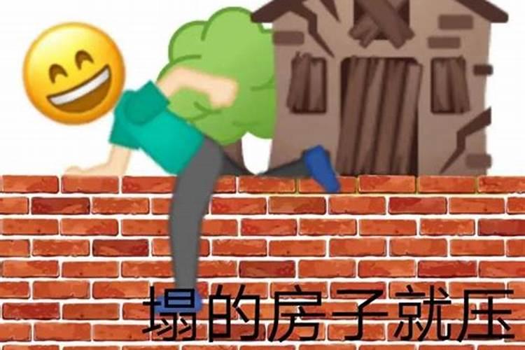 63年出生属兔人是什么命,今年运势好不好