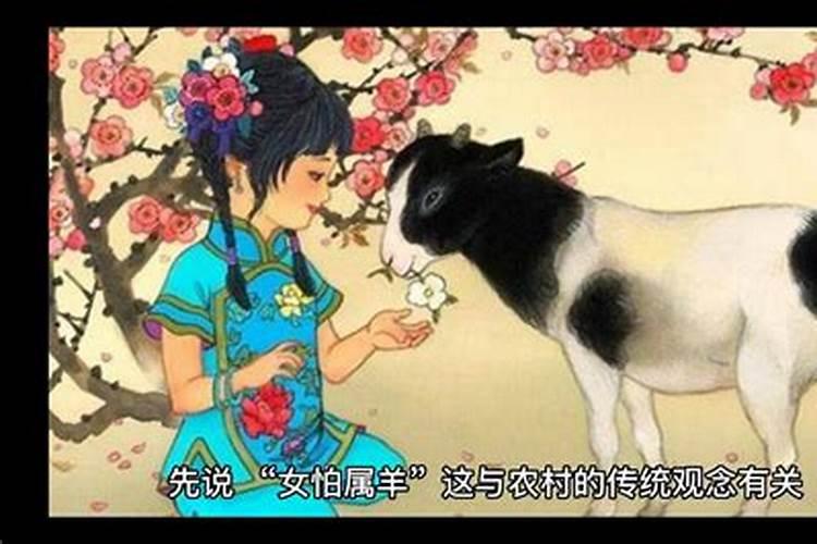 1969年属鸡女2024年运程