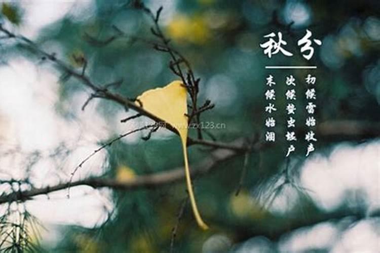 秋分应该注意些什么