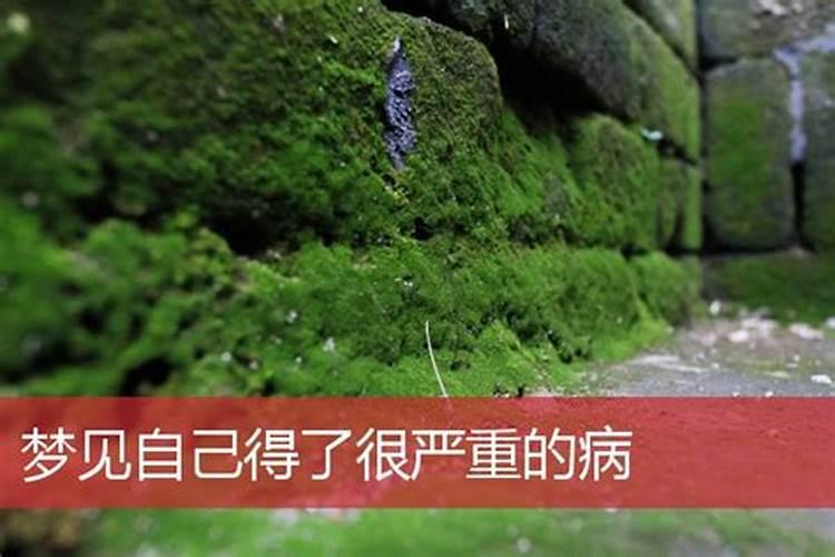 梦见弟弟得重病什么意思 梦见弟弟得重病什么征兆