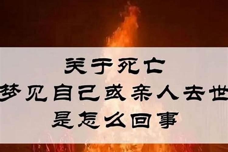 属狗人2025年全年运势
