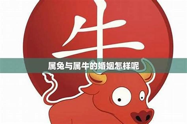 属虎男人和属鼠女人相配吗