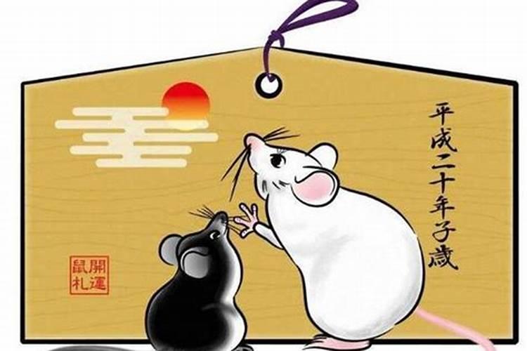 72年鼠2025年运势如何