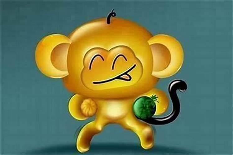 属猴和属兔的人属相合不合