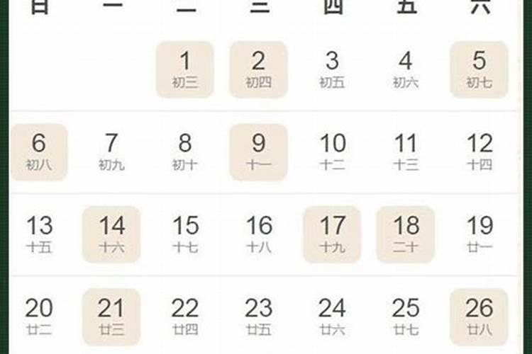 84年的鼠2025年的运势及运程