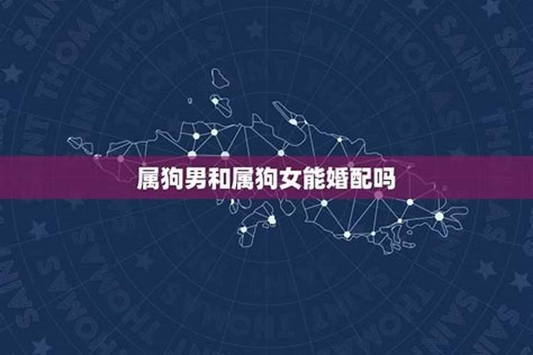 女属鸡男属狗婚姻相配吗