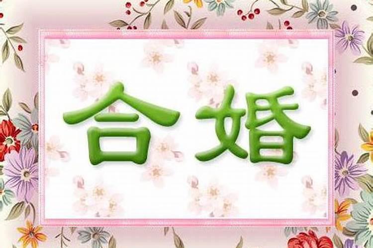 2025年2月12日适合领证吗