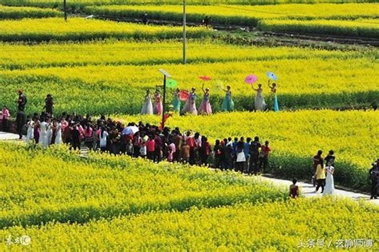 77年男和82年女能婚配吗,77年属蛇男人与82年属狗女人一生婚姻与命
