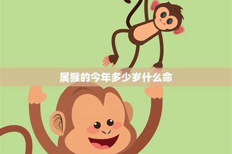 本命年不顺利怎么化解