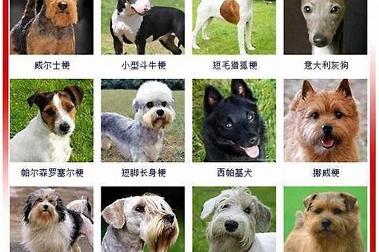 上海冬至有什么习俗,你知道吗