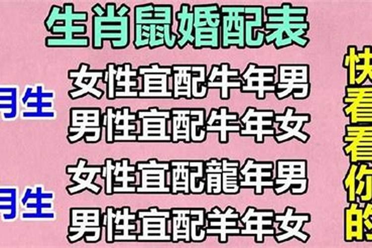 八字五行喜忌怎样查询
