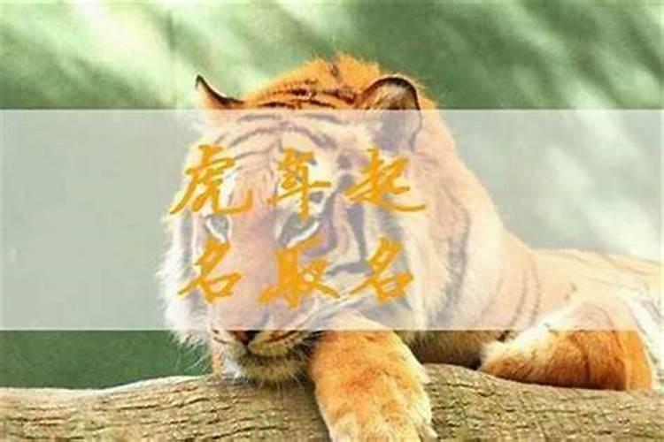 梦见父亲掉井里的预兆