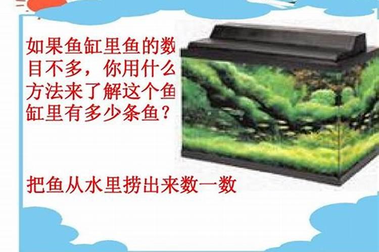 中元节出生的孩子