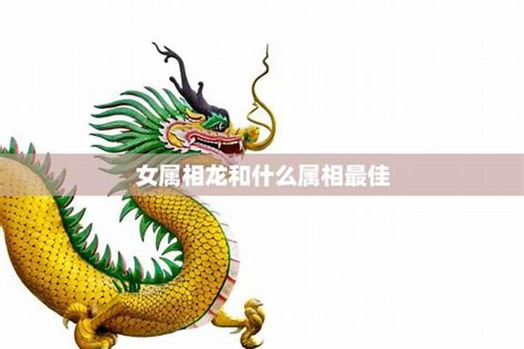 梦见朋友到家里做客的预兆