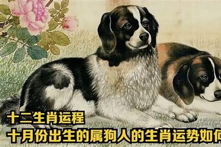 农历10月出生属狗人命好吗
