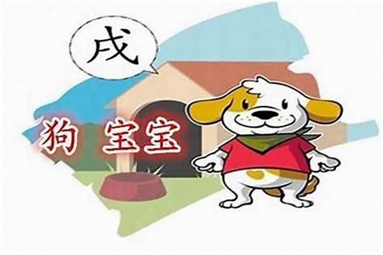 2024年属狗多大了虚岁 生肖狗一年十二个月的出生运程
