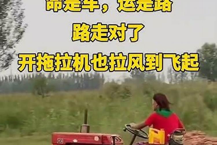 都是犯太岁,刑、冲、破、害有何区别,哪种影响更大？