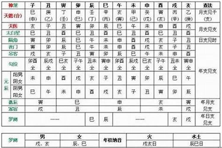 2025年是什么年五行属什么