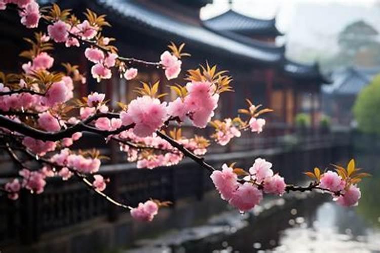 子时是属于前一天还是后一天 子时算属于前一天还是后一天
