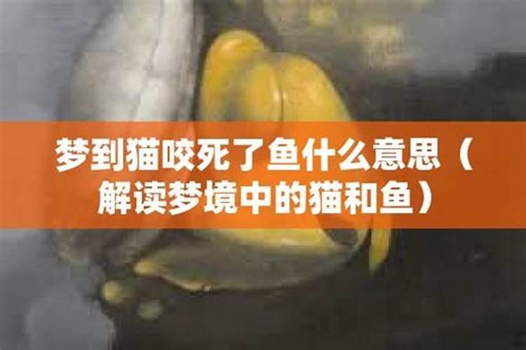 男女八字合几个字最好 怎么算两人八字合婚？