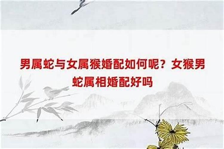 77年属蛇男2025年的运势和婚姻状况