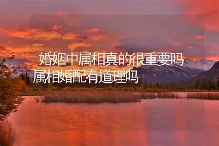 金牛座女和天蝎座男配吗(金牛遇到天蝎不是死就是死)