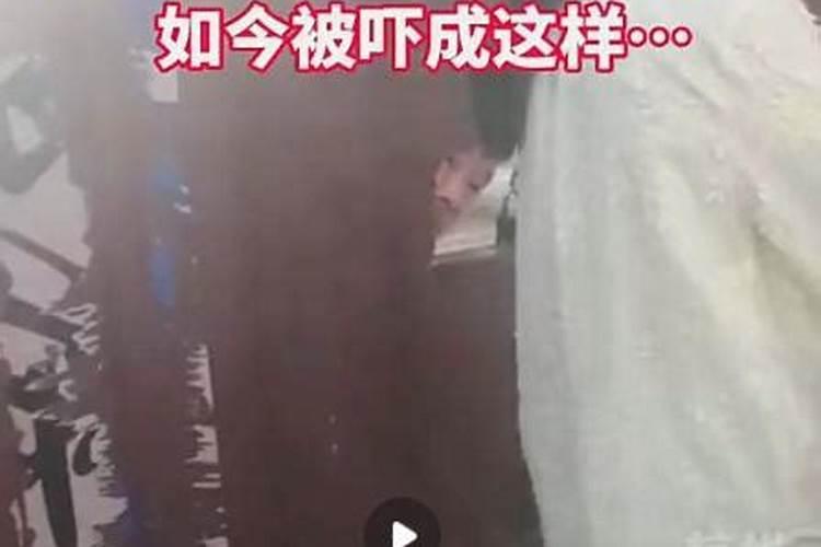 虎年犯太岁的生肖有哪几个