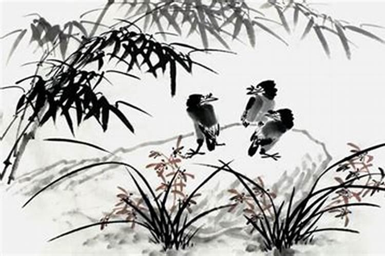 属猪男2025年运势及运程及每月运势