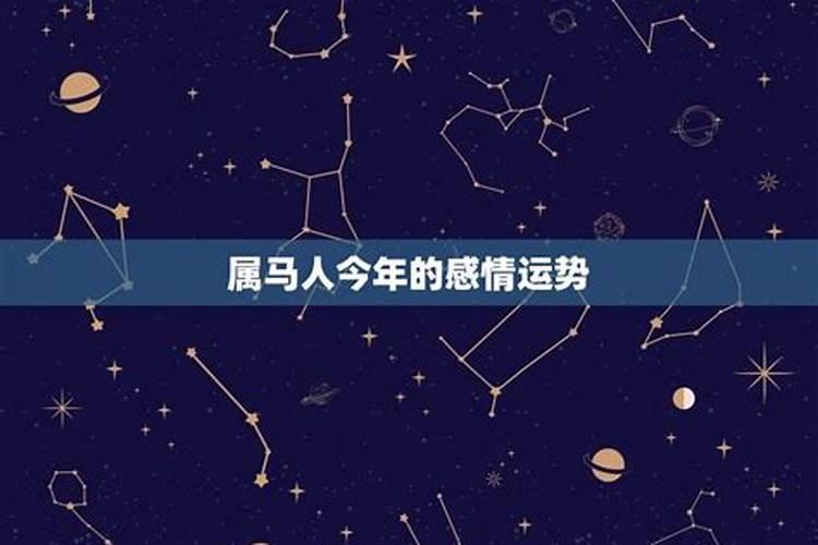 属马最大的桃花劫难 2024年属马的大忌