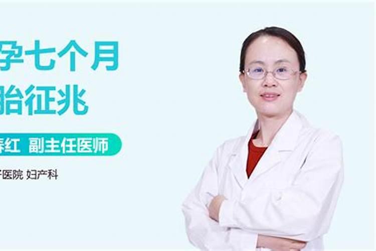 猫咪死胎多久能排出