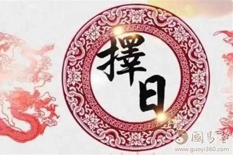 梦见家里爬满了蛇的预兆