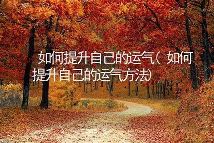 冬至出生的小孩好不好