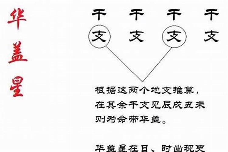 女命70年属狗2021年运程 事业出现危机？