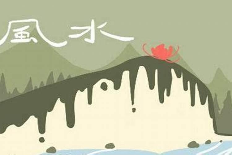 梦见别人从树上掉下来了