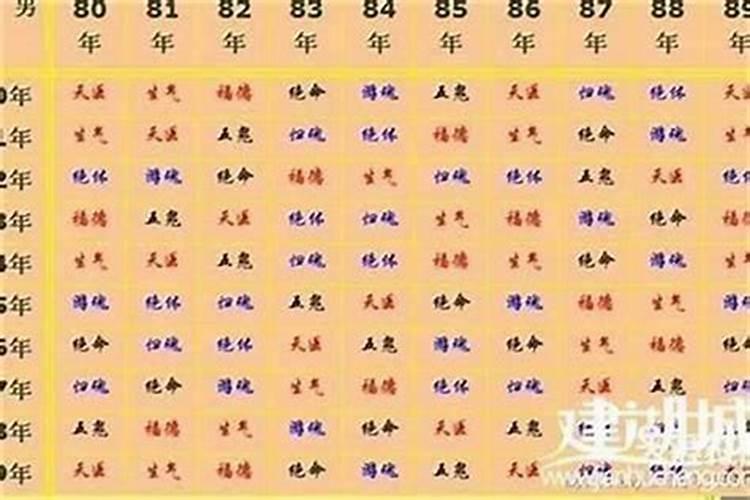 属猪的和什么属相最配