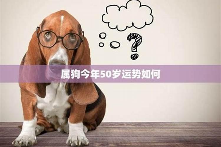 八字十神什么意思