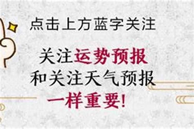 国际大奖都包括哪些？