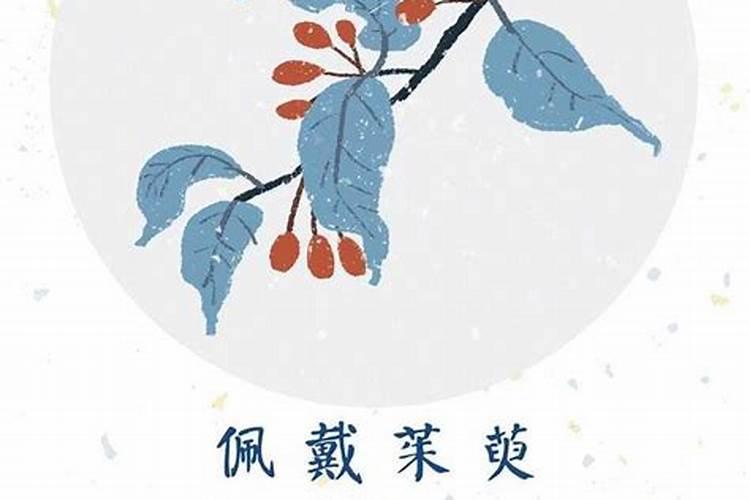 属马和属虎的合不合财运呀