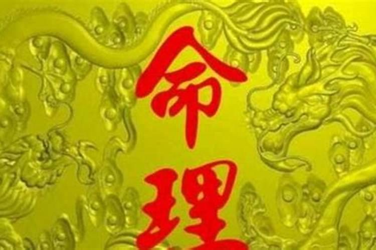 鑫开头的公司名字