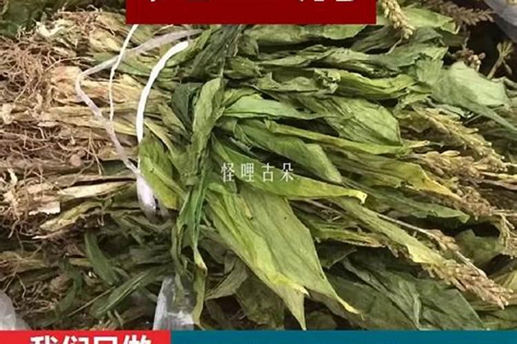 本命年见血代表什么 本命年见血好还是不好？