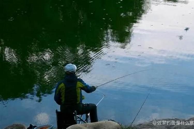 昨晚做梦钓鱼钓到一个汪丫鱼