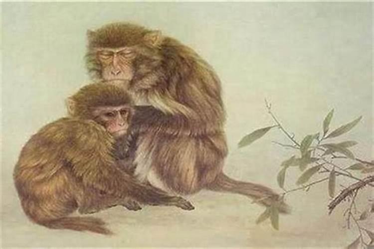 腊月二十四扫尘所寄寓的含义