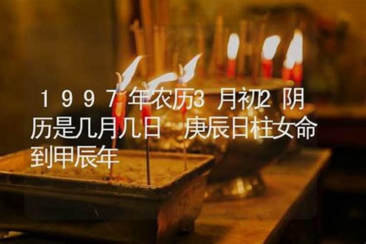 83年猪2026年属猪人的全年运势