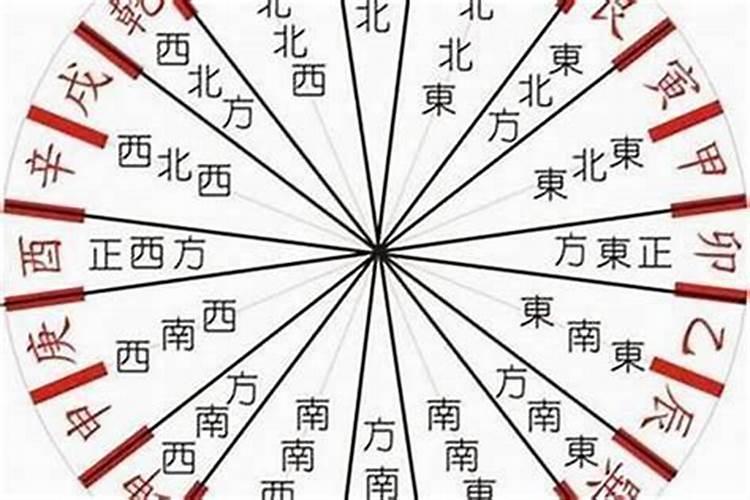 腊月在路边捡鸡好不好