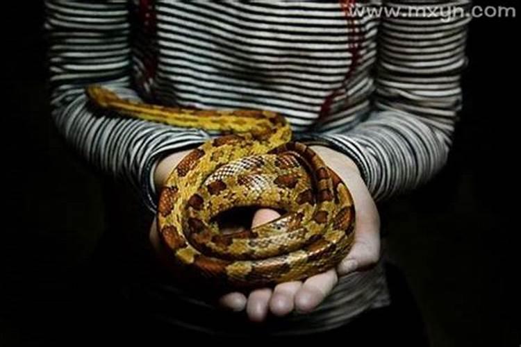 女人将来会嫁给谁,是不是其实早已注定？