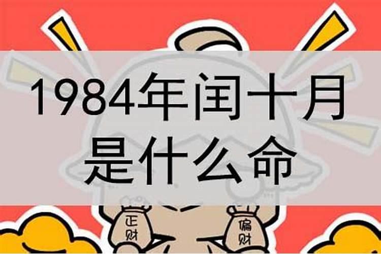 请帮我算算命 1984年11月23日,阴历后十月初一,子时生人