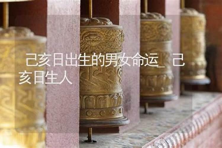 己亥年是哪年生人？