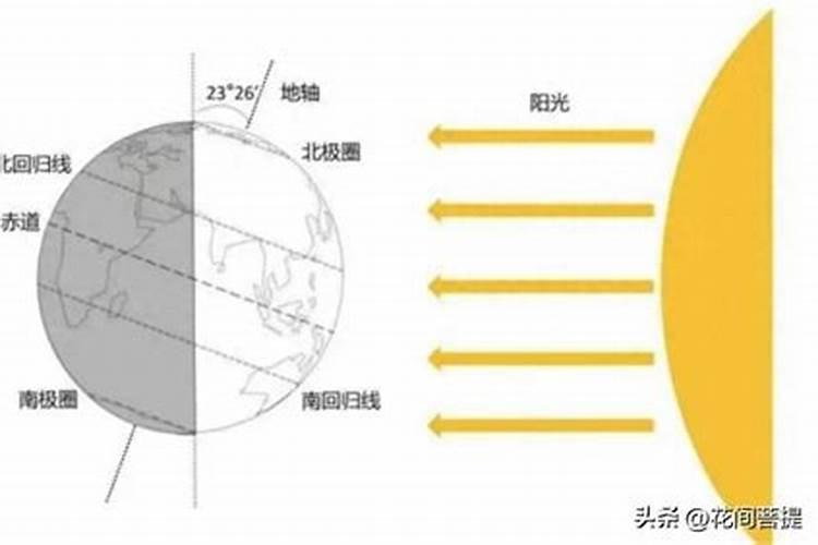 80年的猴2025每月运势