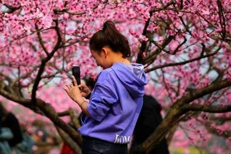 男人犯桃花劫如何化解桃花煞如何消除