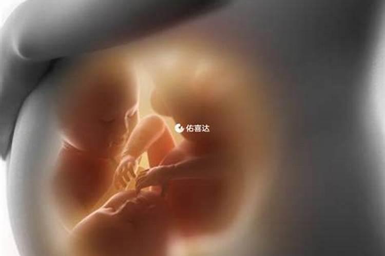 1990年属马2025年运势如何